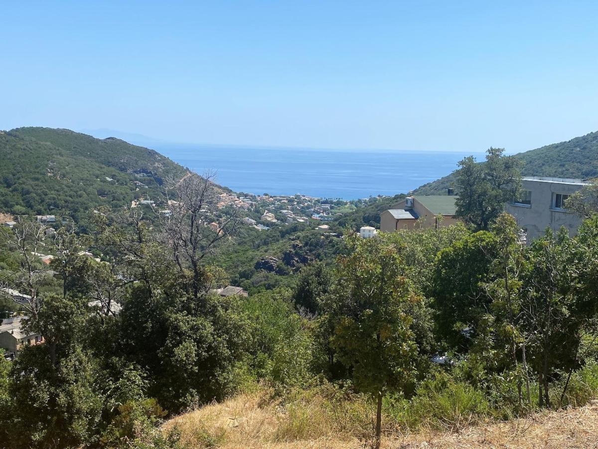 U Cavallu - Luxe Entre Mer Et Montagne Santa-Maria-di-Lota ภายนอก รูปภาพ
